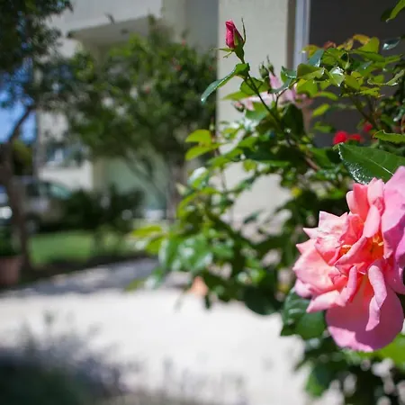 Ivandic Apartamento *