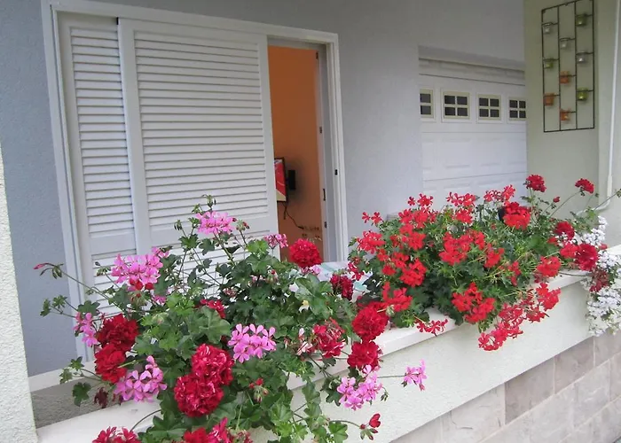 Ivandic Apartman