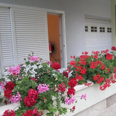 Ivandic Apartamento